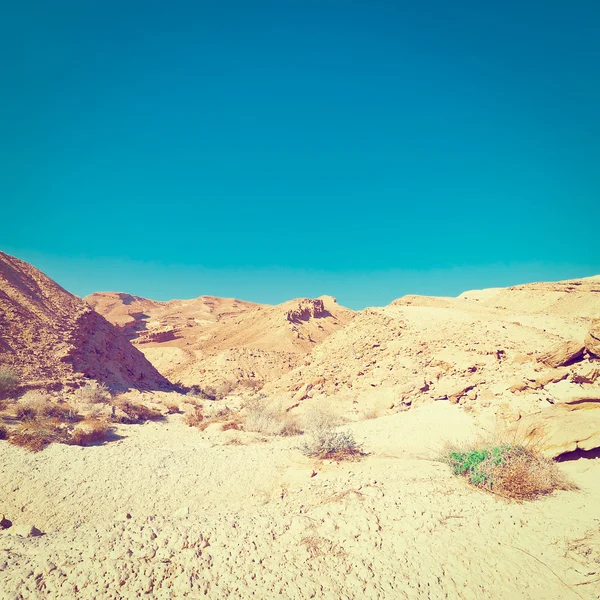 Negev Çölü'nın kayalık tepeleri — Stok fotoğraf