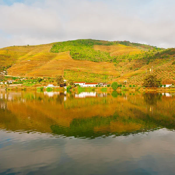 Tal des Flusses Douro — Stockfoto