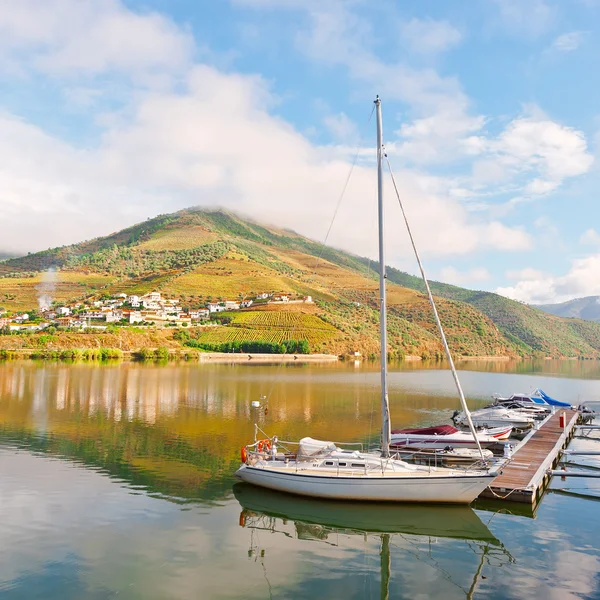 Valle del fiume Douro — Foto Stock