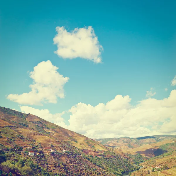 Valley of the River Douro — Stock Photo, Image