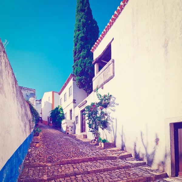Smal straatje in de middeleeuwse Portugese stad — Stockfoto