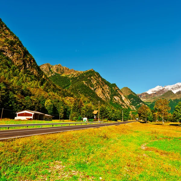 Alp Dağları doruklarına — Stok fotoğraf