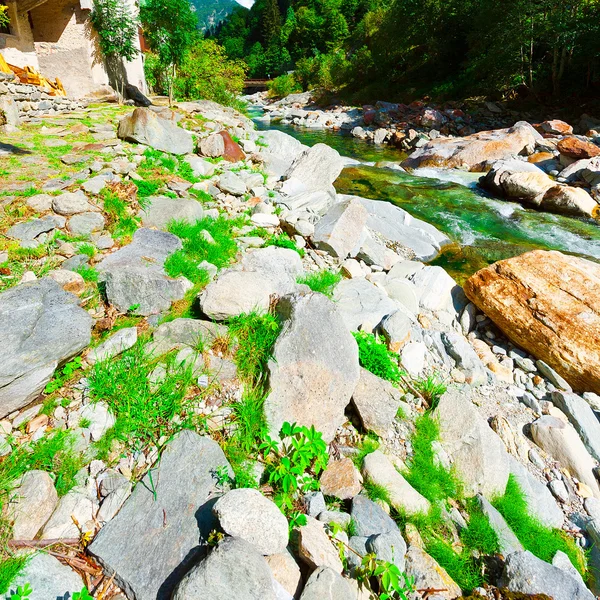 Fiume di montagna nelle Alpi italiane — Foto Stock