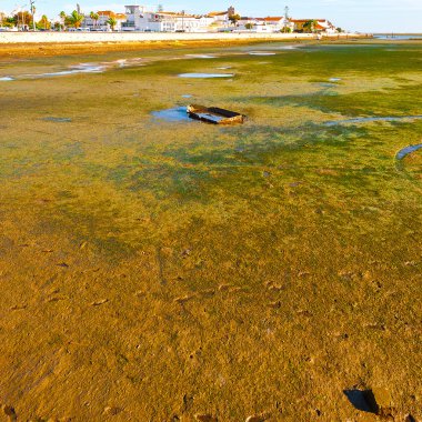 Bataklık Atlantik Okyanusu kıyısında