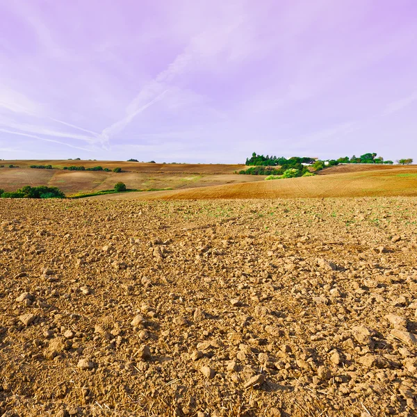 Campos inclinados corridos — Foto de Stock