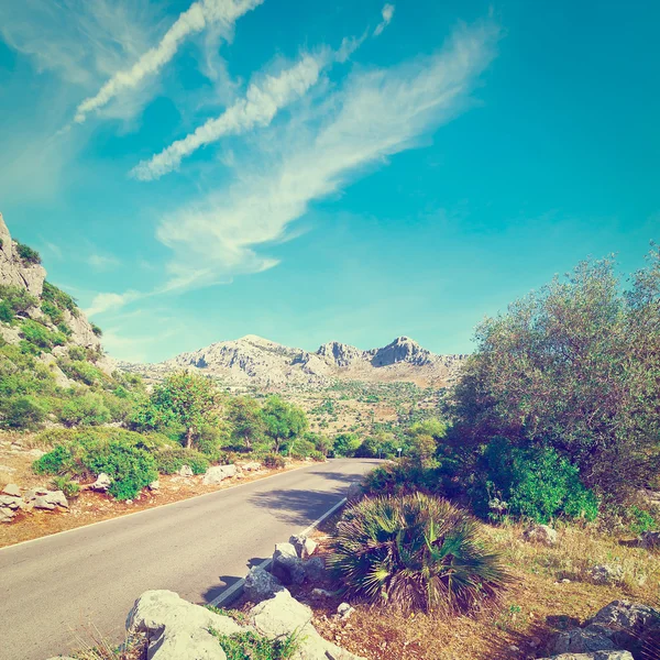 Paved Road in Europe — Stock Photo, Image