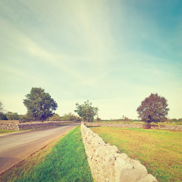 Paved Road in Europe — Stock Photo, Image