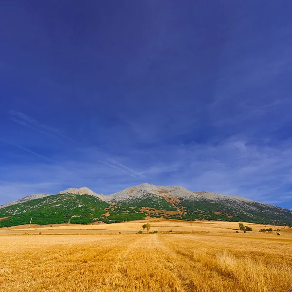 Campos na Montanha Cantábrica — Fotografia de Stock