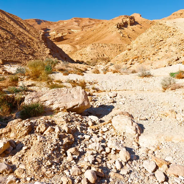 Desert in Israël — Stockfoto