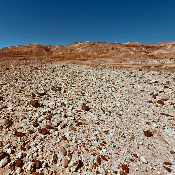 Desierto en Israel — Foto de Stock