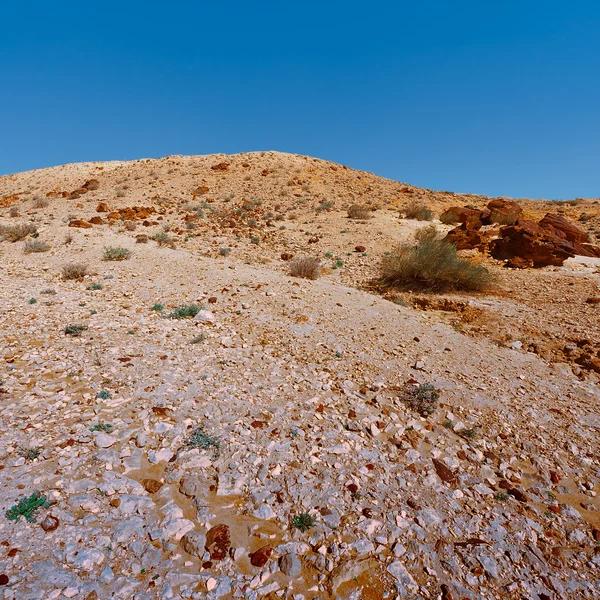 Пустыня Израиля — стоковое фото