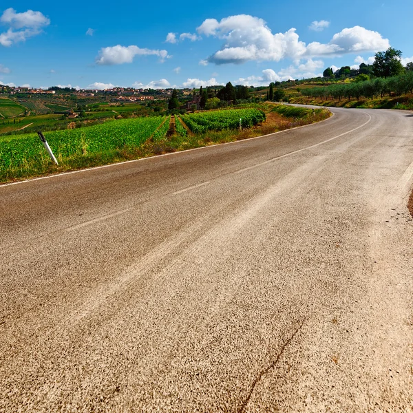 Camino en Toscana —  Fotos de Stock