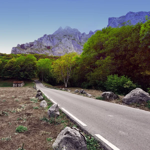 Estrada de asfalto sinuosa — Fotografia de Stock