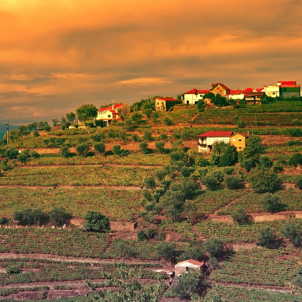 Portugal au coucher du soleil — Photo