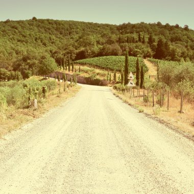 Toprak yol Toskana