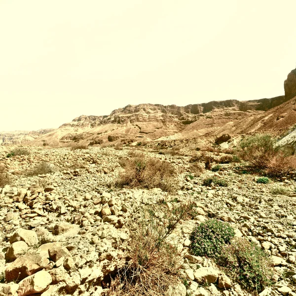 El desierto de piedra en Israel — Foto de Stock