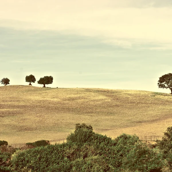 Hills in Spain — Stock Photo, Image