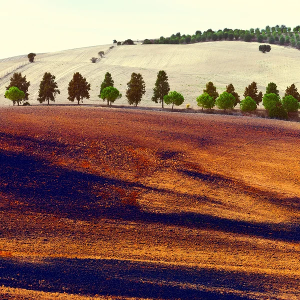 Plowed Fields in Spain — Stock Photo, Image