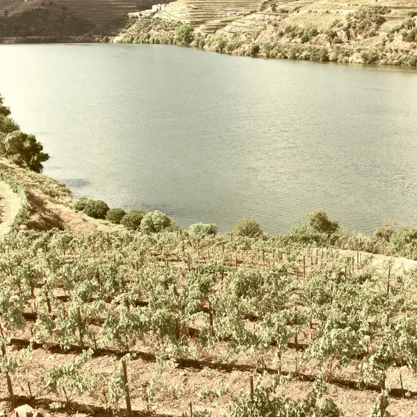 Dalen av floden Douro i Portugal — Stockfoto
