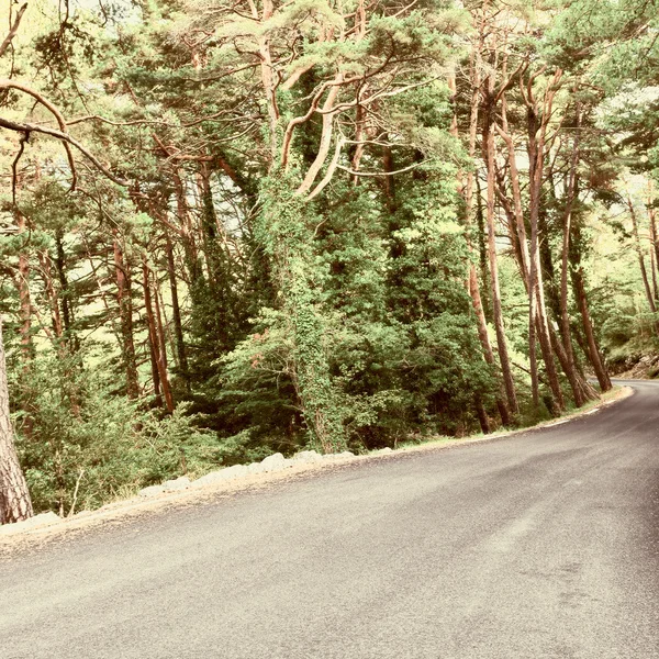 Estrada florestal em França — Fotografia de Stock