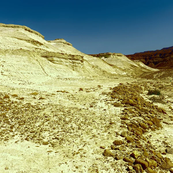 Negev sivatag Izraelben — Stock Fotó