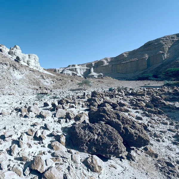 Negev sivatag Izraelben — Stock Fotó