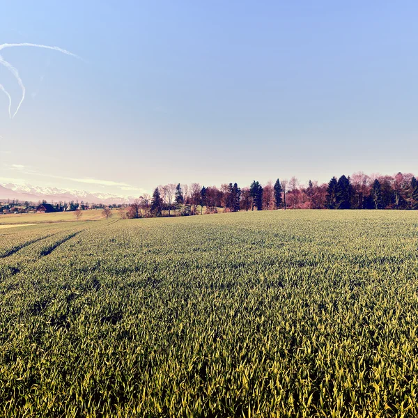 Small Swiss Town — Stock Photo, Image