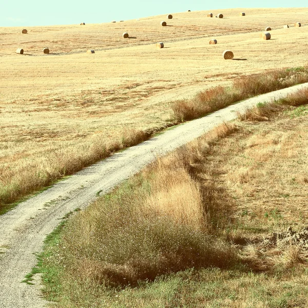 Feldweg, der zum Bauernhaus in der Toskana führt — Stockfoto