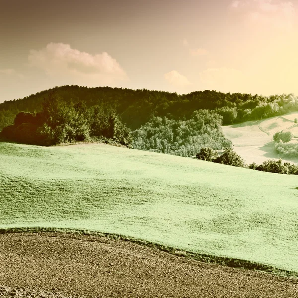 Colinas inclinadas da Toscana — Fotografia de Stock