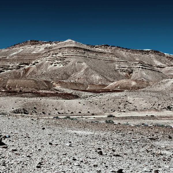 Desert in Israel — Stock Photo, Image