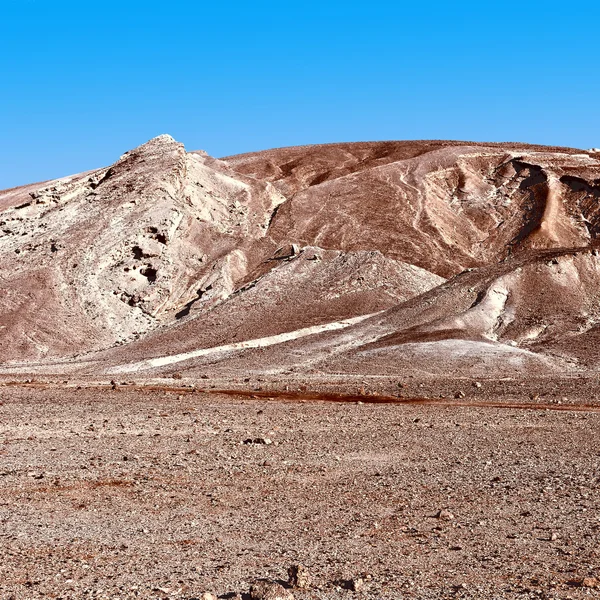 Felsigen Hügeln der Negev-Wüste — Stockfoto