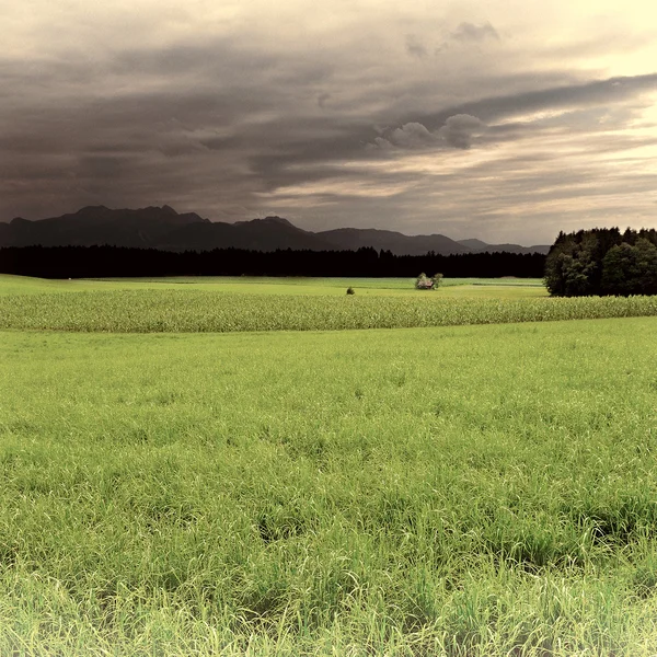 Pasture in Southern Bavaria — Stock Photo, Image