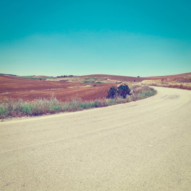 Sonbahar sürülmüş alanlar arasındaki yol