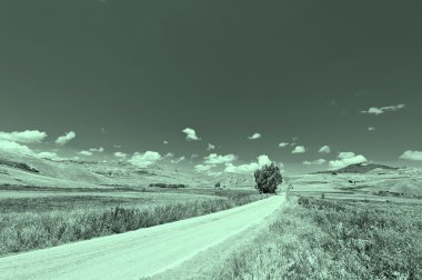 Sicilya alanlarında