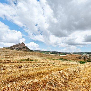 Sicilya tepede biçilmis buğday alanı