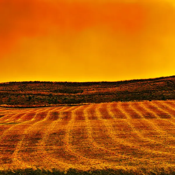 Gemaaide veld op de heuvel in Sicilië bij zonsondergang — Stockfoto