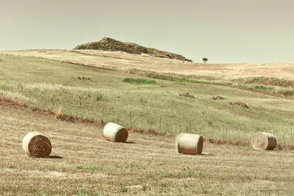 Paysage de la Sicile avec de nombreuses balles de foin — Photo