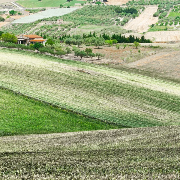 Stubble Fields on the Hills of Sicily — Stock Photo, Image