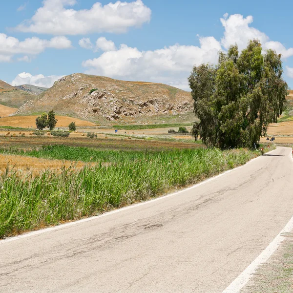 Camino de asfalto entre los campos de primavera de Sicilia —  Fotos de Stock