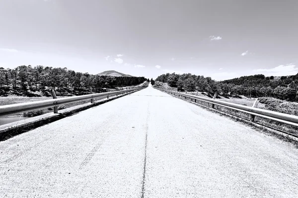 Straight Asphalt Road — Stock Photo, Image