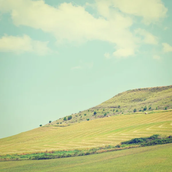 Collines de Sicile — Photo