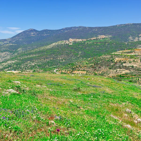 Golanské výšiny na jaře — Stock fotografie