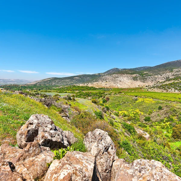 Golan hoogvlakte in het voorjaar — Stockfoto