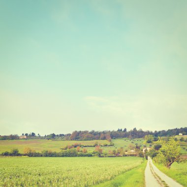 toskana çayırları