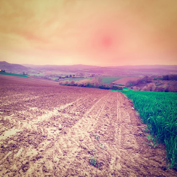 Collines De La Toscane — Photo