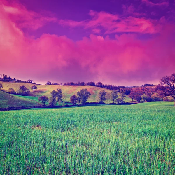 Meadows of Tuscany — Stock Photo, Image