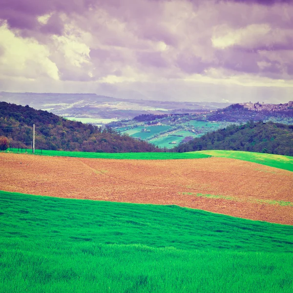 トスカーナの牧草地 — ストック写真