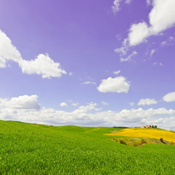 Wiesen der Toskana — Stockfoto