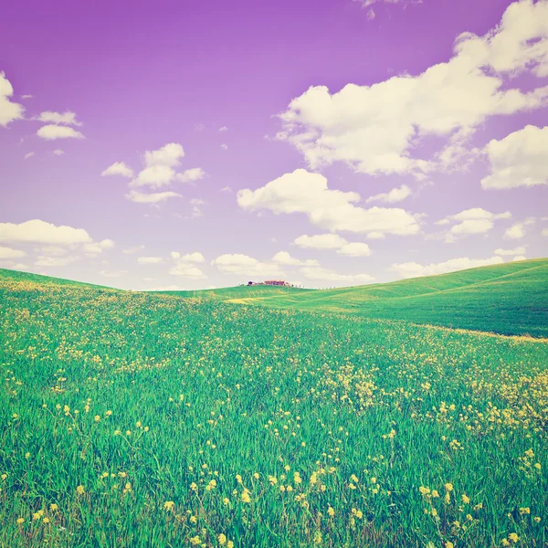 Meadows of Tuscany — Stock Photo, Image