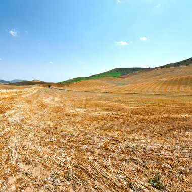 Sicilya tepelerinde anız alanların